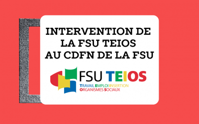Intervention de la FSU TEIOS au CDFN de la FSU