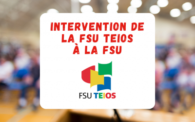 Intervention de la FSU TEIOS au BDFN* FSU
